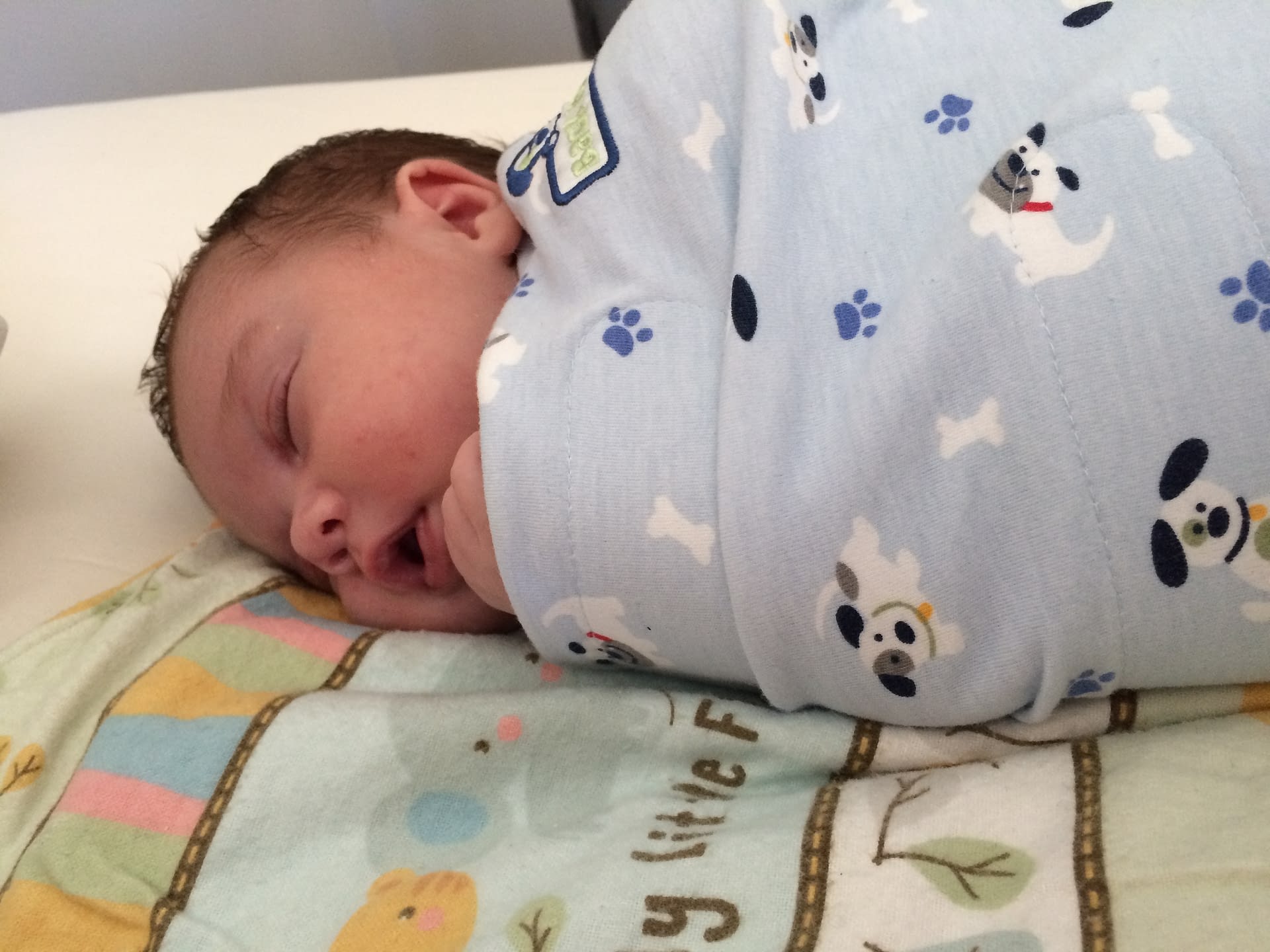 Best Swaddle For Newborns Love and Baby Steps